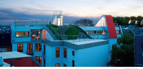 ROOF ARCHITECTURE + DESIGN -BRAUN