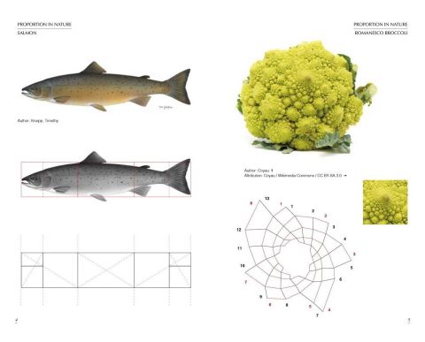 VISUAL HARMONY / PROPORTION IN GRAPHIC DESIGN
