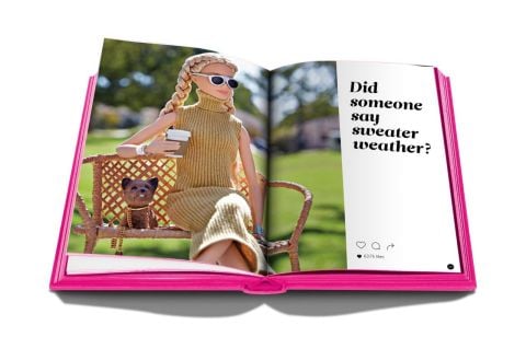 BARBIE-THE ART OF @BARBIESTYLE