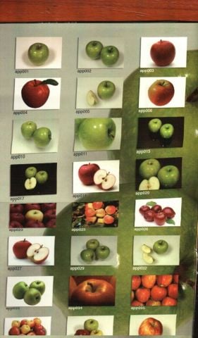 FRUIT- 360 PROFESSIONAL PRINT-SIZE IMAGES
