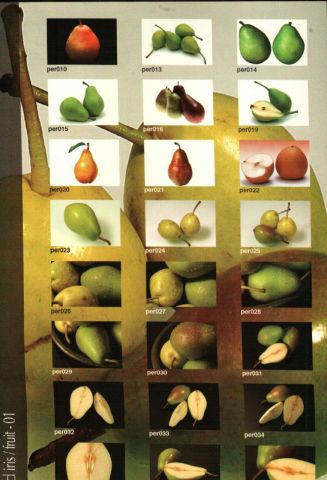 FRUIT- 360 PROFESSIONAL PRINT-SIZE IMAGES