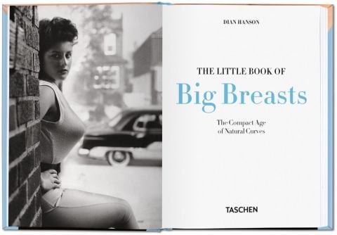 THE LITTLE BOOK OF BIG BREASTS