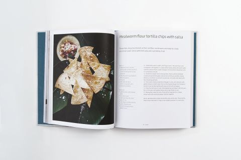 EAT GRUB: THE ULTIMATE INSECT COOK BOOK