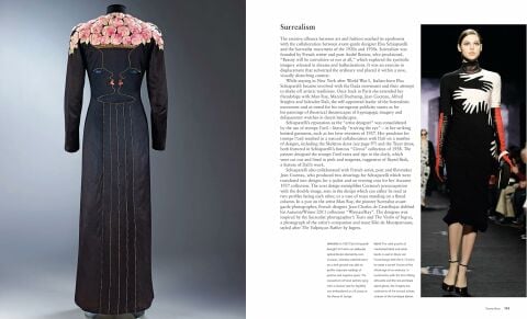 THE DRESS:100 Ideas that Changed Fashion Forever