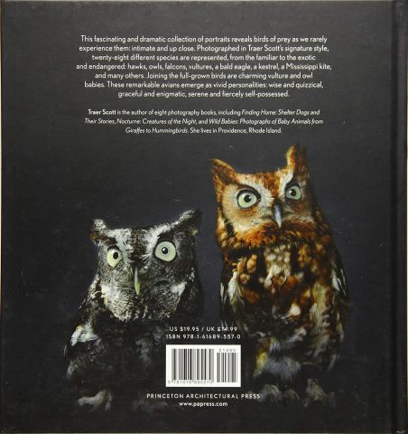 Raptors:Portraits of Birds of Prey