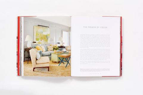 CARRIER AND COMPANY POSITIVELY CHIC INTERIORS