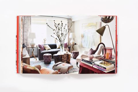 CARRIER AND COMPANY POSITIVELY CHIC INTERIORS