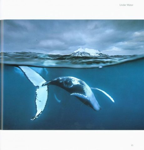 WILDLIFE PHOTOGRAPHER OF THE YEAR PORTFOLIO 26