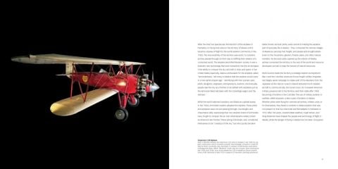 ALASKA AND THE AIRPLANE - BRAUN
