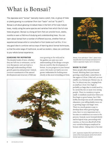 The Bonsai Handbook