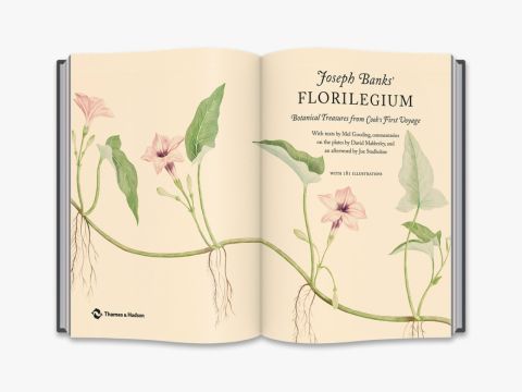 JOSEPH BANKS - FLORILEGIUM