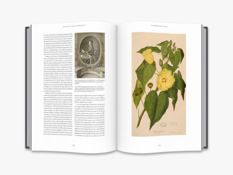 JOSEPH BANKS - FLORILEGIUM