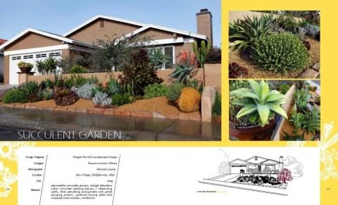 ORNAMENTAL PLANTS IN THE LANDSCAPE