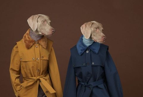 BEING HUMAN - WILLIAM WEGMAN