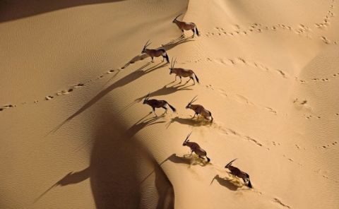 EYES OVER AFRICA - SPECIAL SELECTION