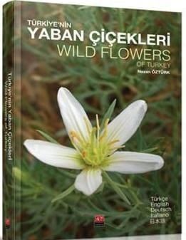 TÜRKİYE'NİN YABAN ÇİÇEKLERİ