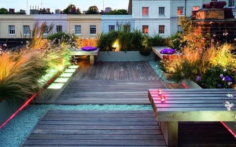 LIVING ROOFS